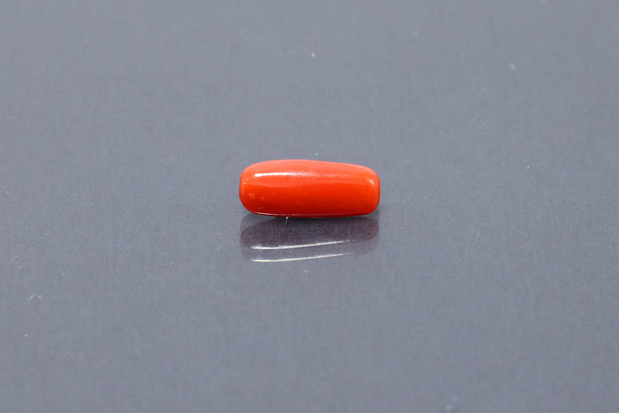 Red Coral - 3.16 Carat