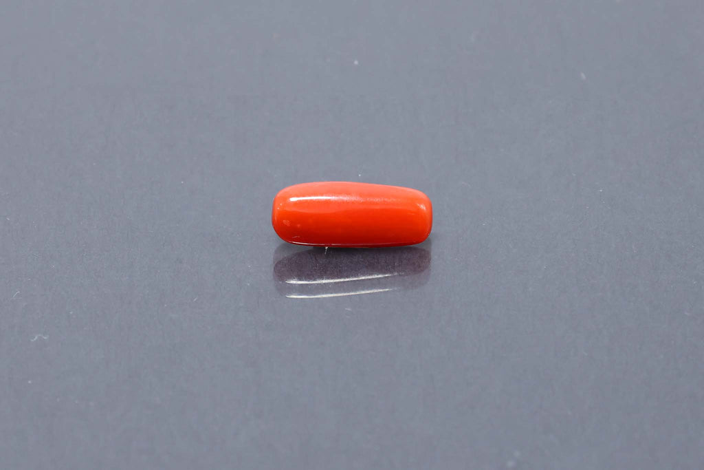 Red Coral - 3.16 Carat