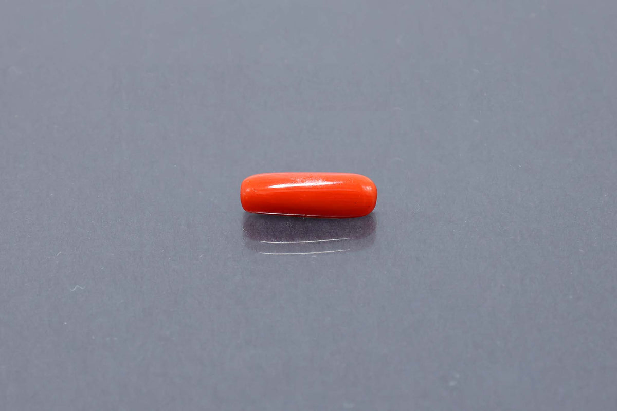 Red Coral - 3.26 Carat