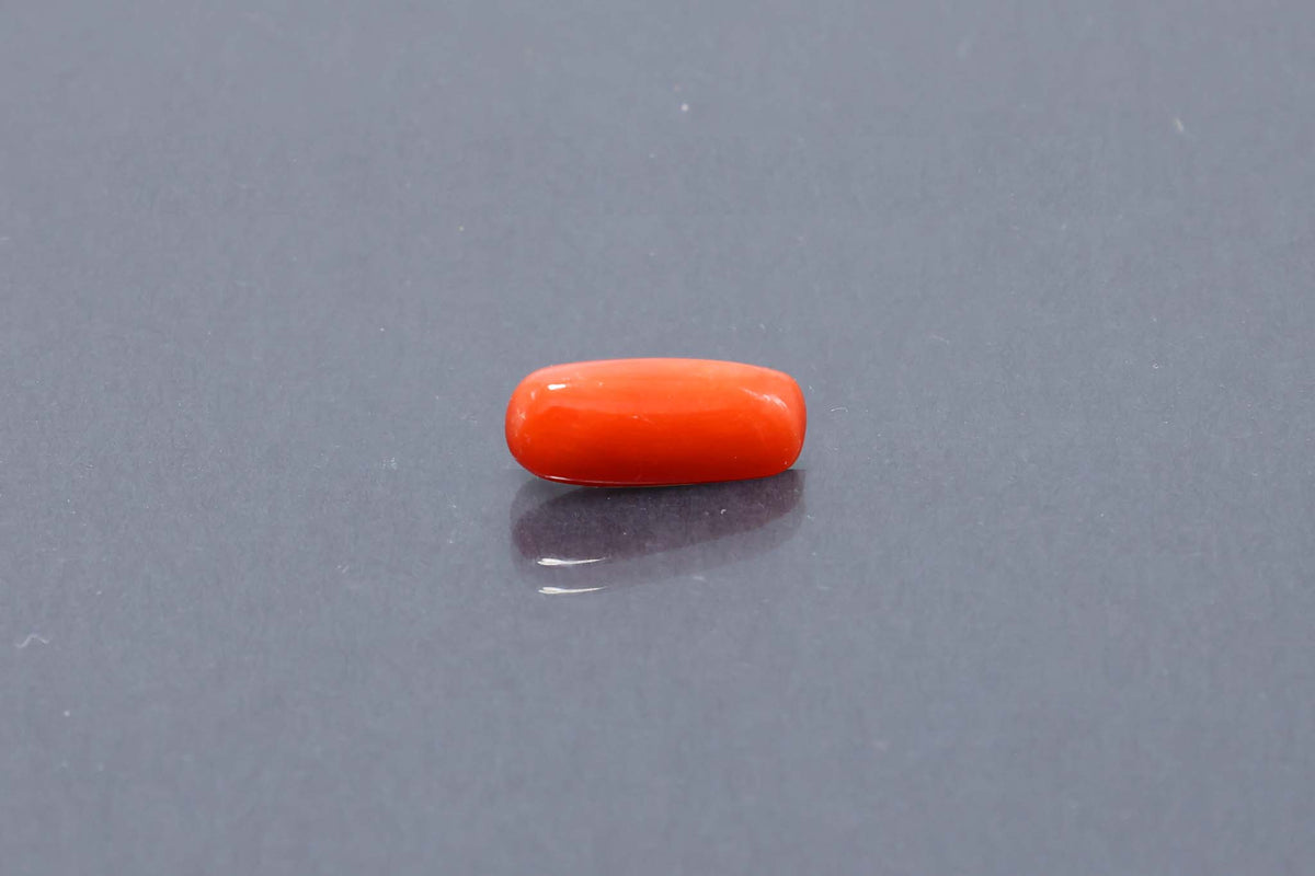 Red Coral - 3.20 Carat