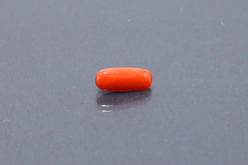 Red Coral - 3.20 Carat