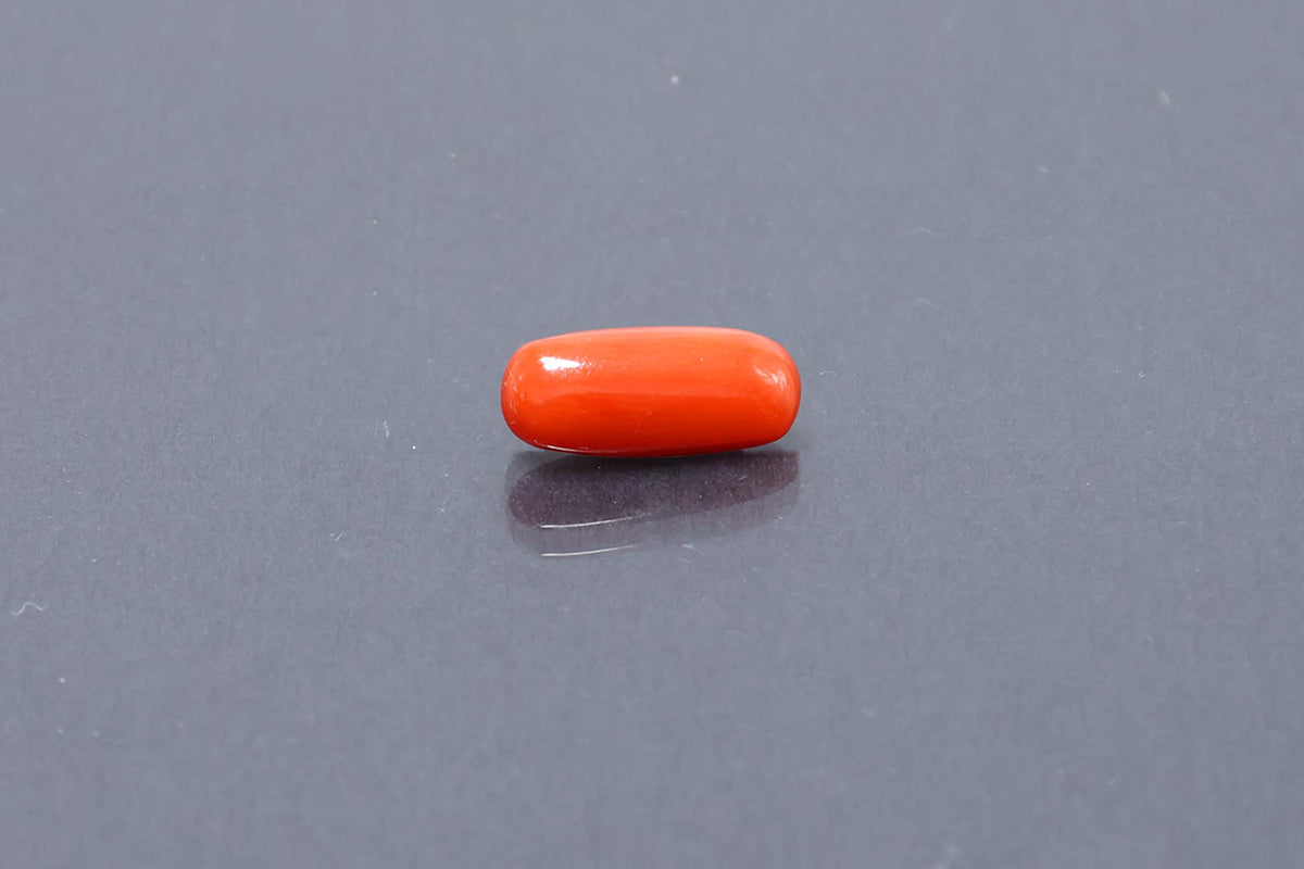 Red Coral - 3.20 Carat