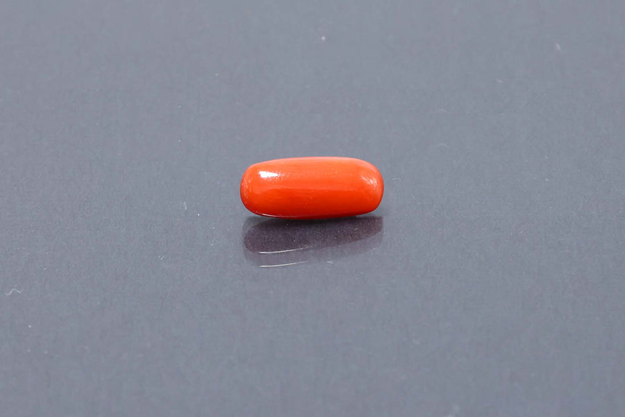 Red Coral - 3.20 Carat