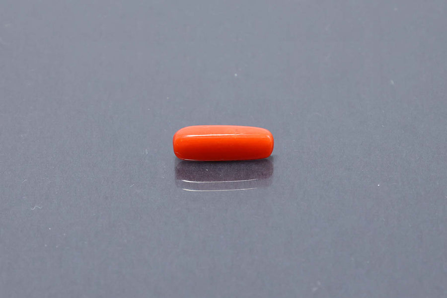 Red Coral - 3.15 Carat