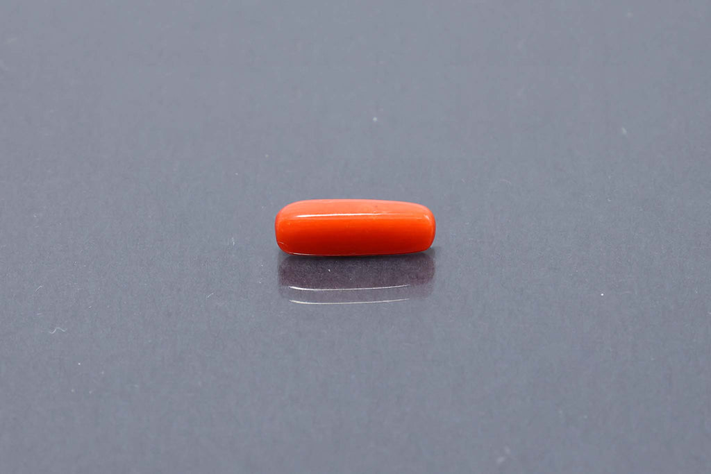 Red Coral - 3.15 Carat