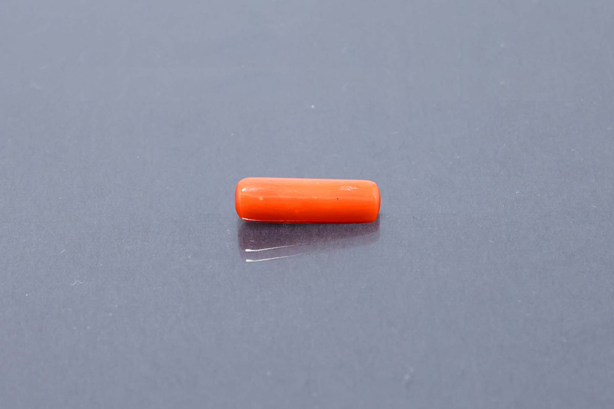 Red Coral - 5.04 Carat