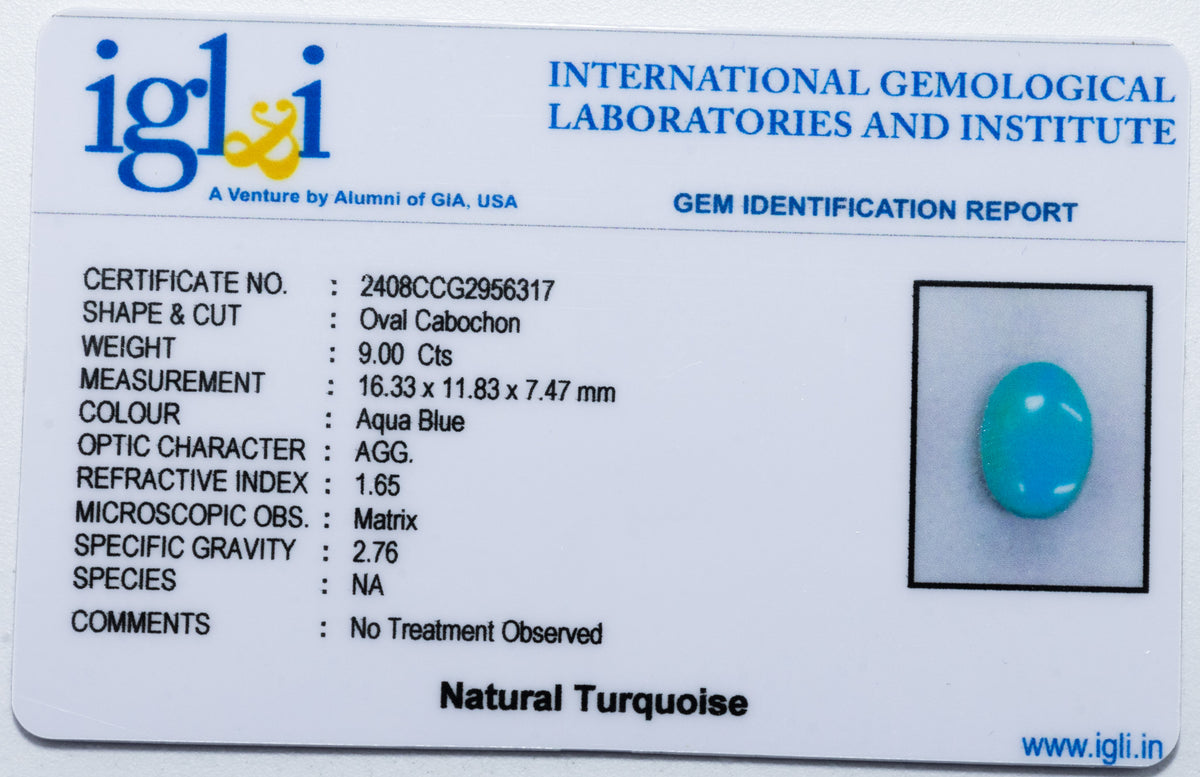 Turquoise (Firoza) - 9.00 Carat