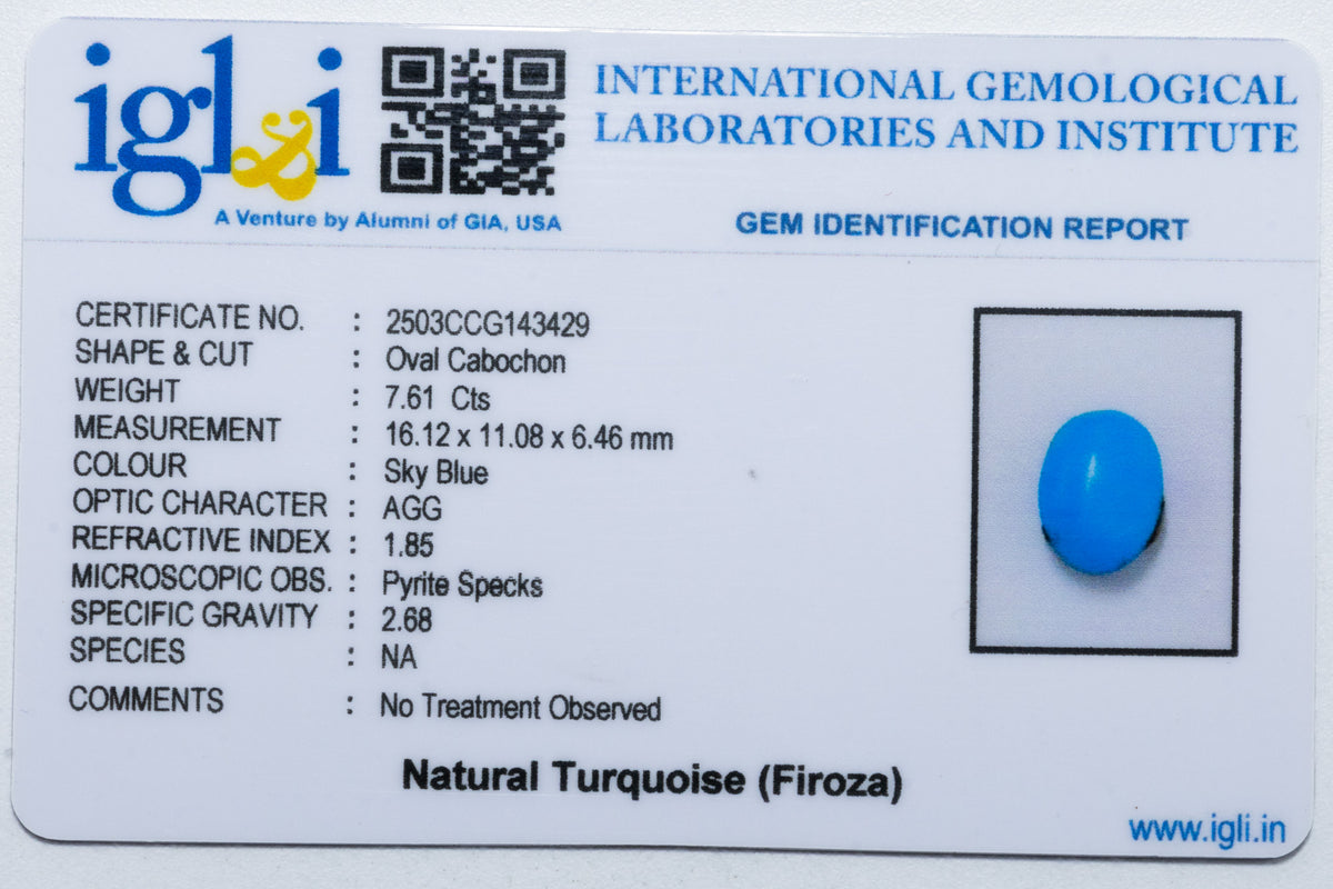 Turquoise (Firoza) - 7.61 Carat