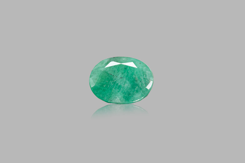 Brazilian Emerald - 13.84 Carat