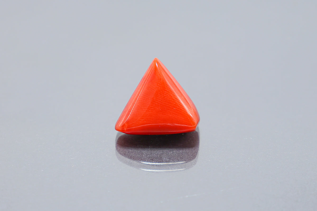 Red Coral - 3.10 Carat