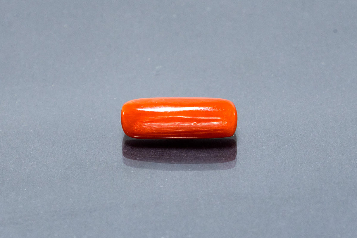 Red Coral - 7.17 Carat