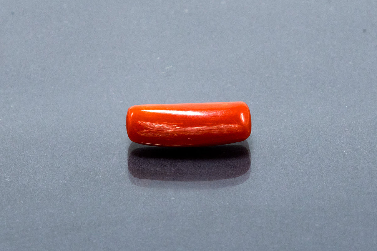 Red Coral - 7.72 Carat