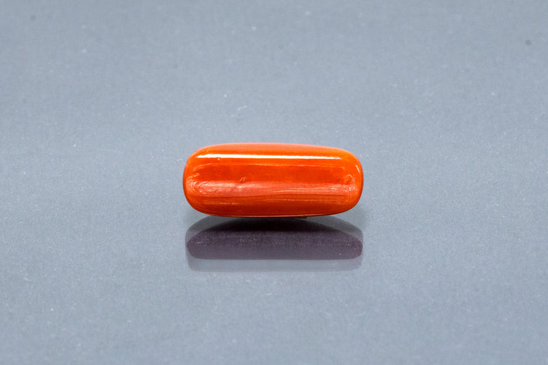 Red Coral - 7.67 Carat
