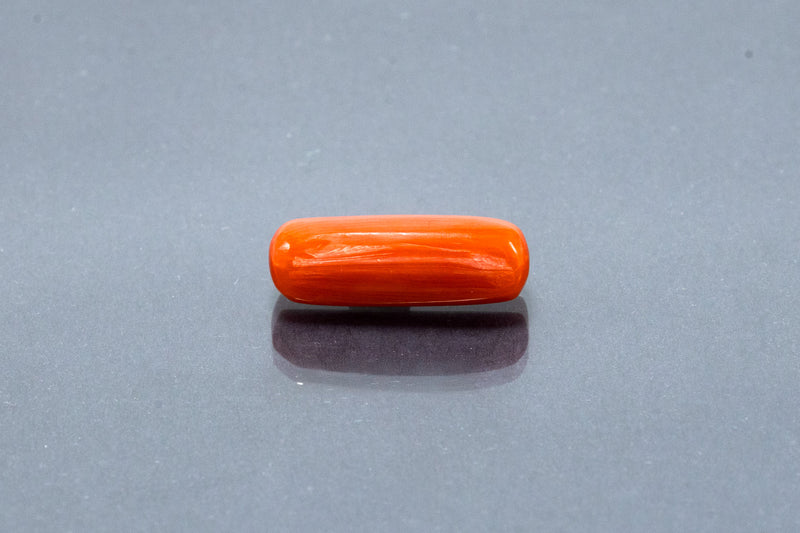 Red Coral - 7.12 Carat