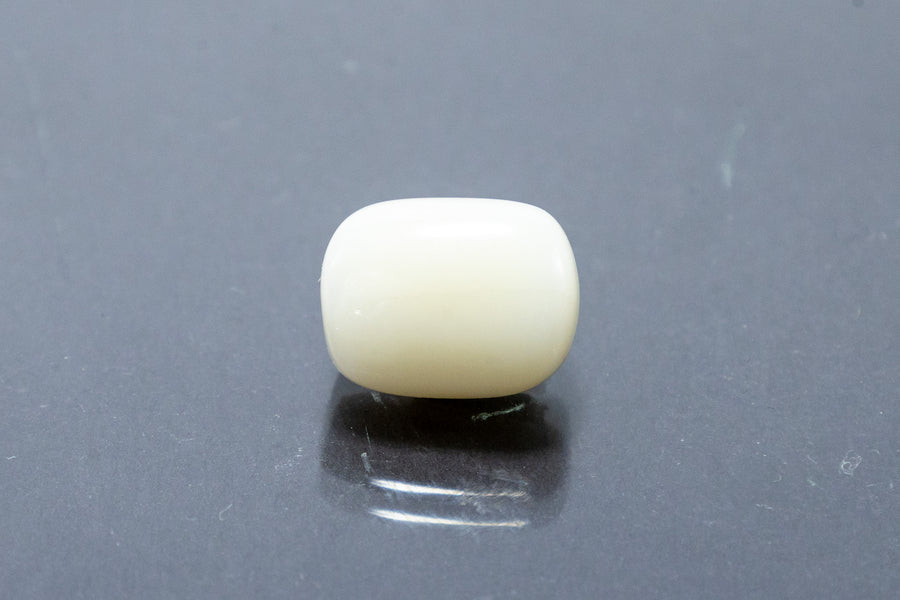 White Coral 5.00 Carat