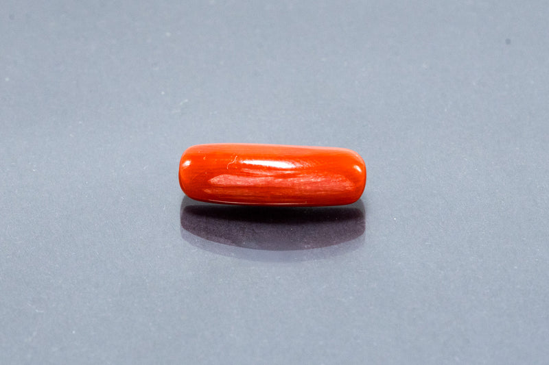 Red Coral - 7.19 Carat