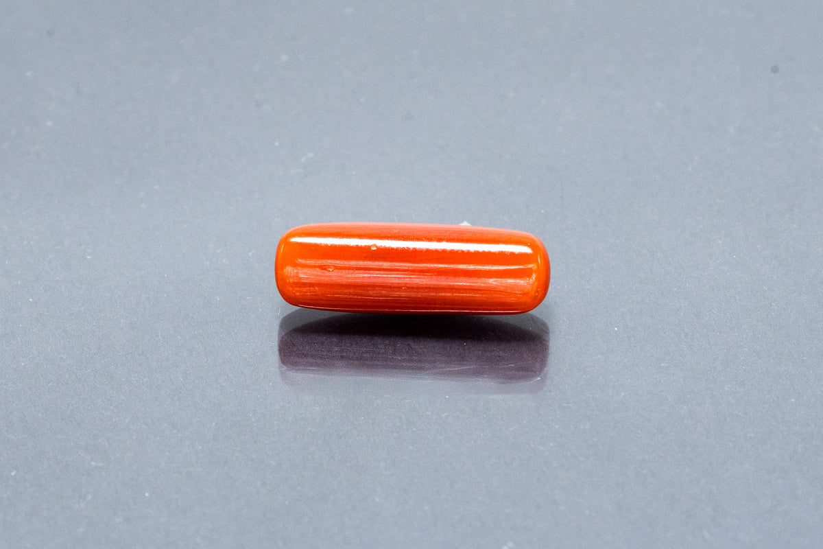 Red Coral - 7.19 Carat