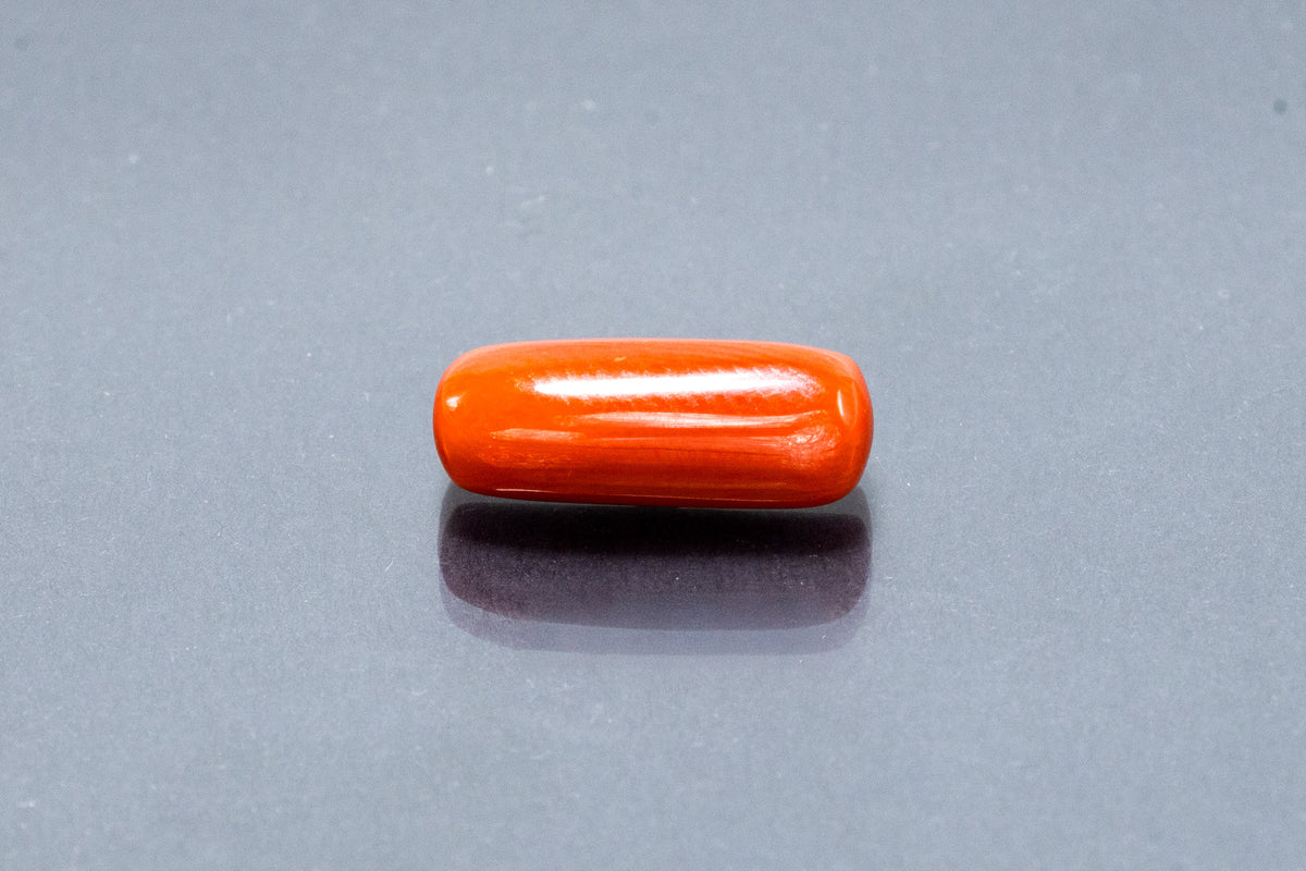 Red Coral - 7.13 Carat