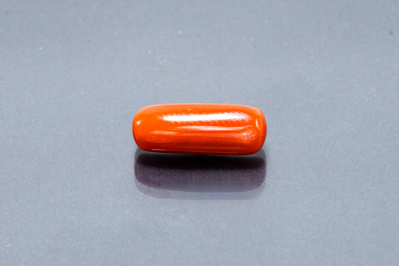 Red Coral - 7.13 Carat