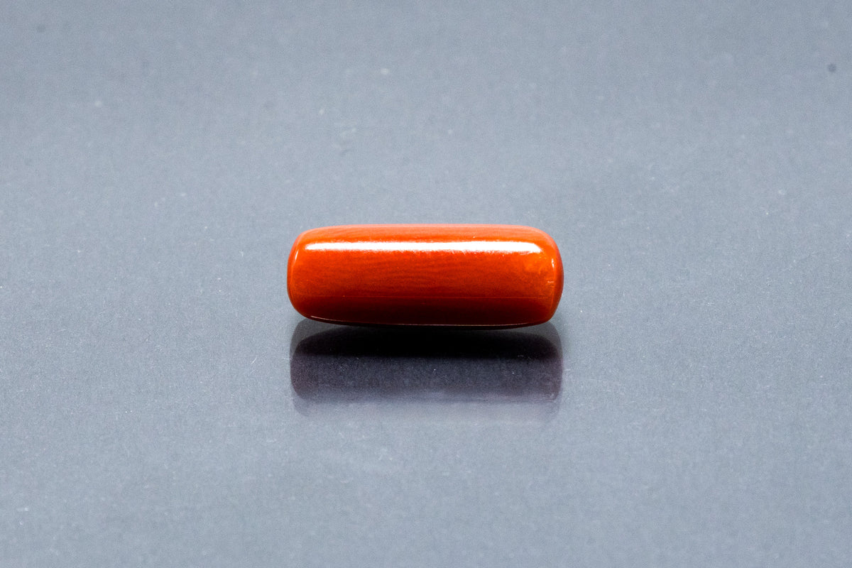 Red Coral - 7.13 Carat
