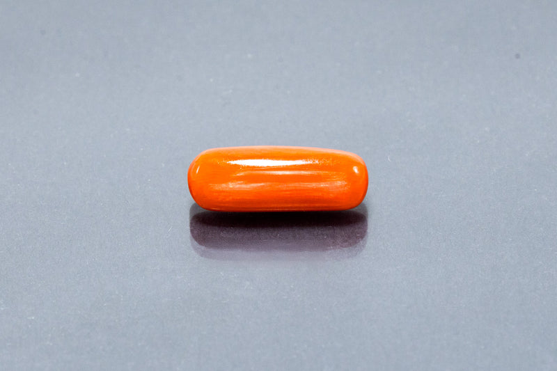 Red Coral - 7.78 Carat