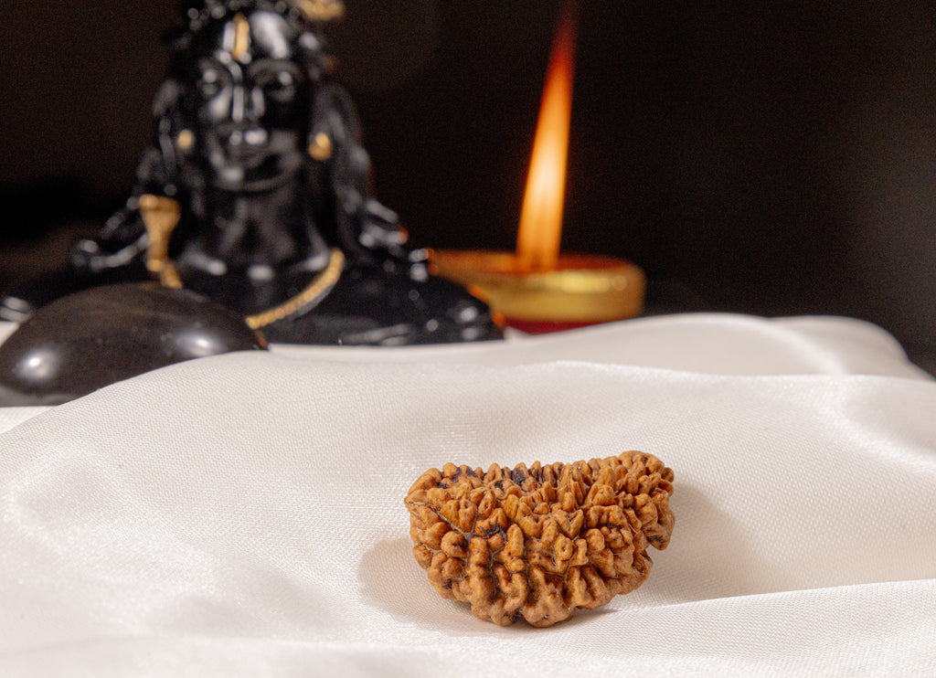 1 Mukhi (Kaju) Rudraksha