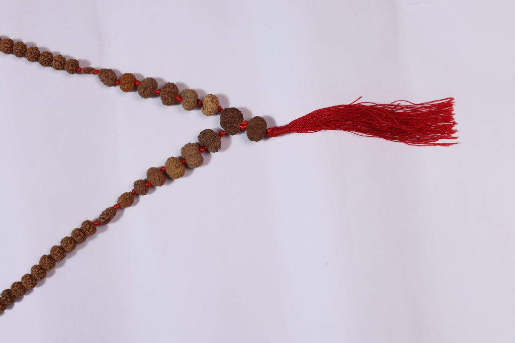 1-14 Mukhi Rudraksha Siddha Mala - Indonesian