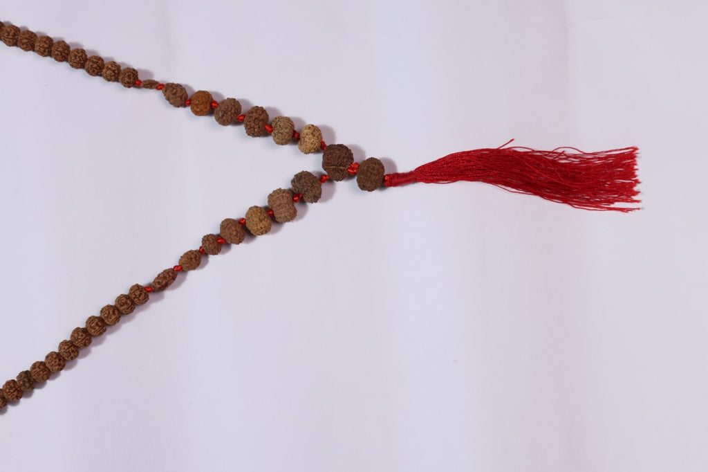 1-14 Mukhi Rudraksha Siddha Mala - Indonesian