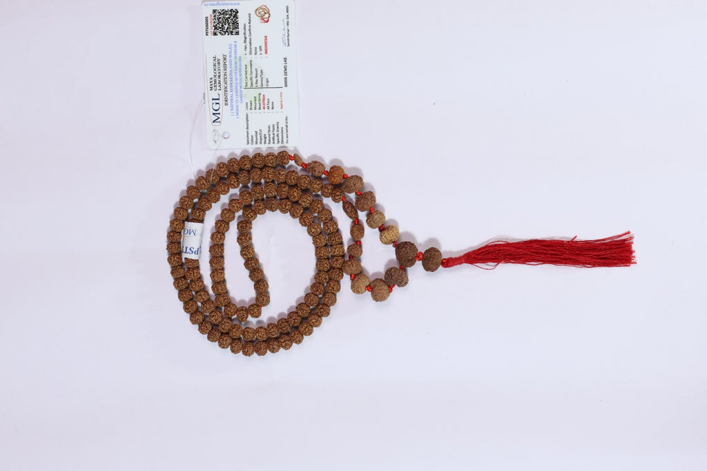 1-14 Mukhi Rudraksha Siddha Mala - Indonesian