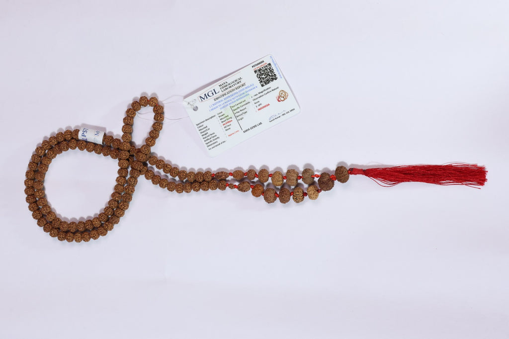 1-14 Mukhi Rudraksha Siddha Mala - Indonesian