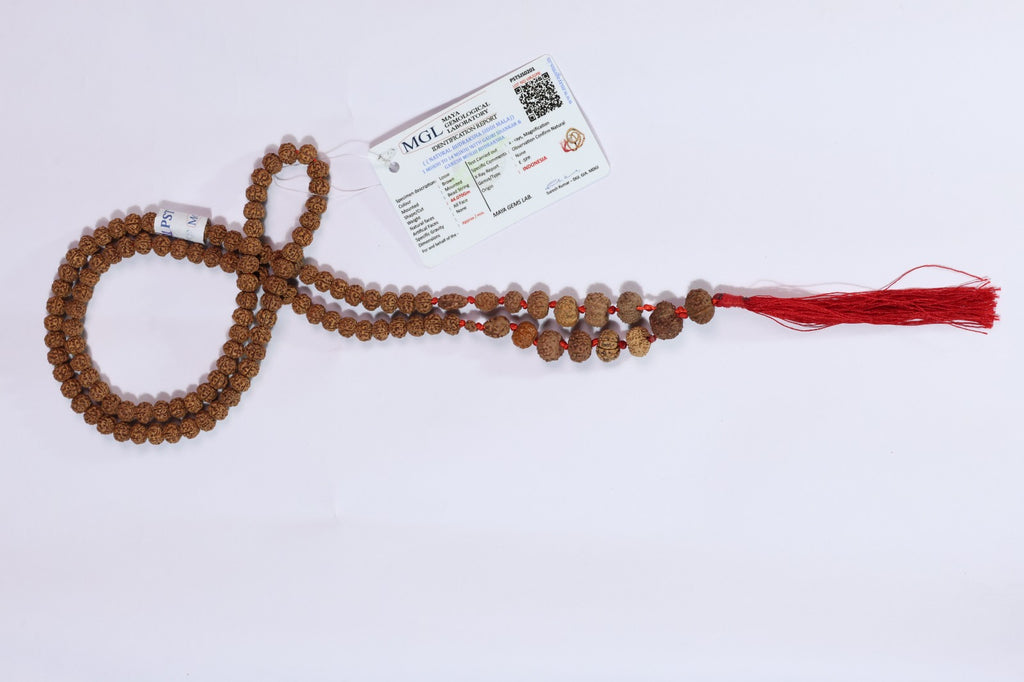 1-14 Mukhi Rudraksha Siddha Mala - Indonesian