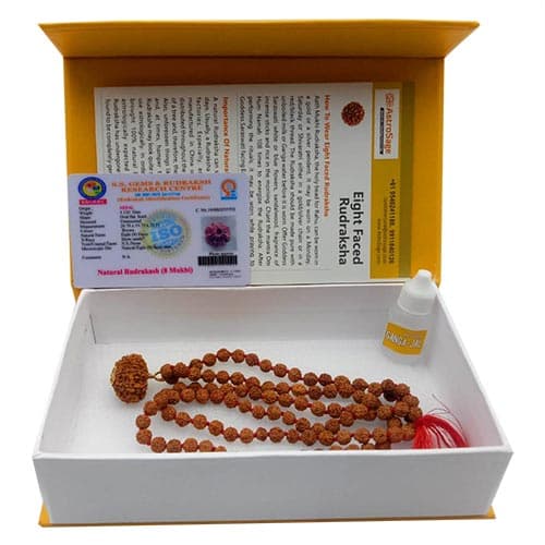 Aath Mukhi- Eight Faced Rudraksha - Lab Certified