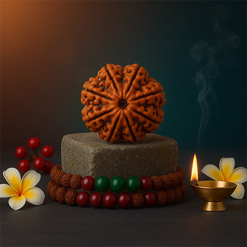 Aath Mukhi- Eight Faced Rudraksha - Lab Certified