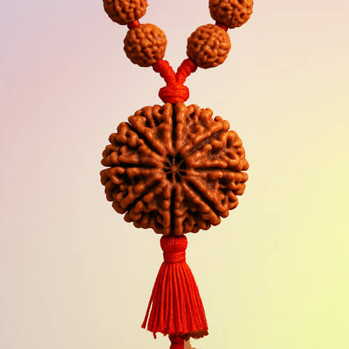 Aath Mukhi- Eight Faced Rudraksha - Lab Certified