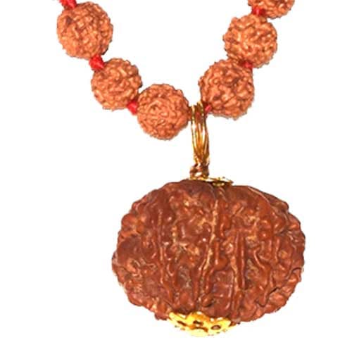 Aath Mukhi- Eight Faced Rudraksha - Lab Certified