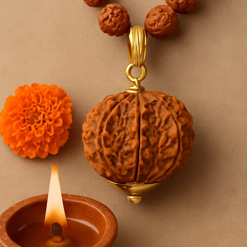 Baarah Mukhi-Twelve Faced Rudraksha - Lab Certified