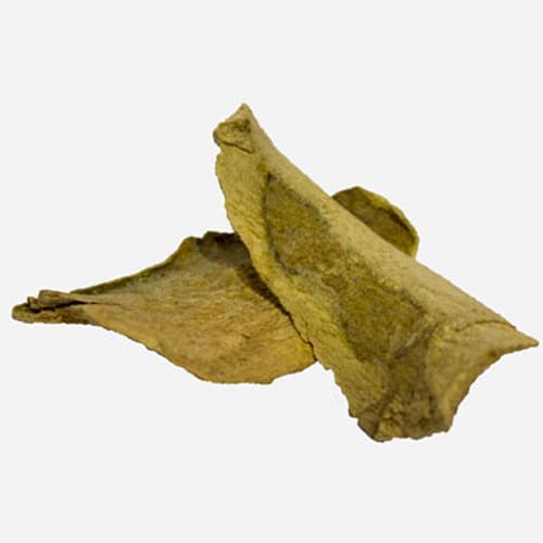 Bharangi Root - Bharangi Ki Jad