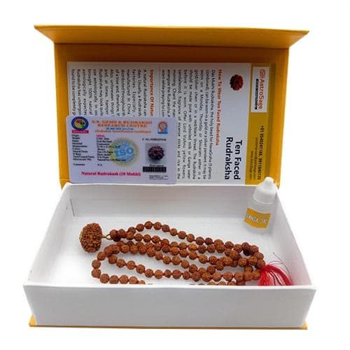 Dus Mukhi - Ten Faced Rudraksha - Lab Certified