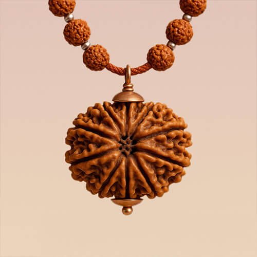 Dus Mukhi - Ten Faced Rudraksha - Lab Certified