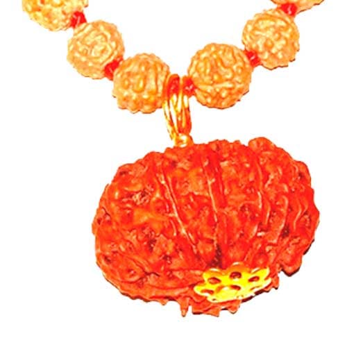 Dus Mukhi - Ten Faced Rudraksha - Lab Certified