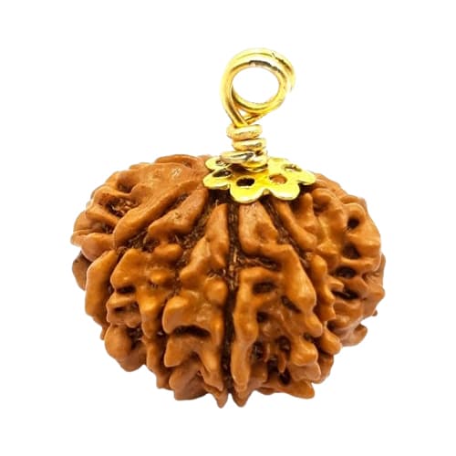 Aath Mukhi-Eight-Faced Rudraksha - Lab Certified (Without Mala)