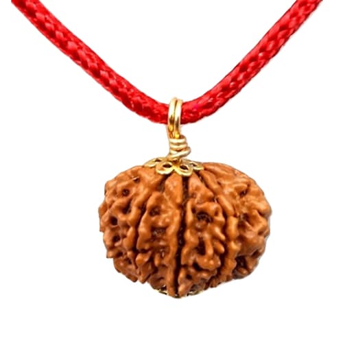 Aath Mukhi-Eight-Faced Rudraksha - Lab Certified (Without Mala)