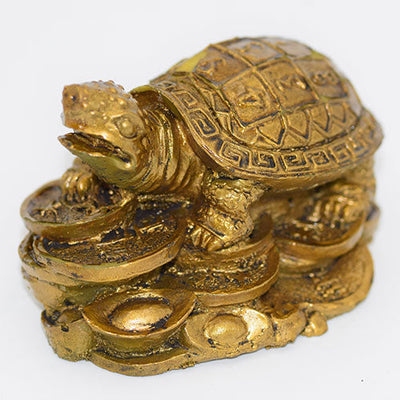 Feng Shui Tortoise