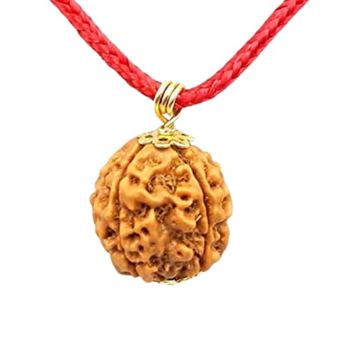 Panch Mukhi-Five-Faced Rudraksha - Lab Certified (Without Mala)