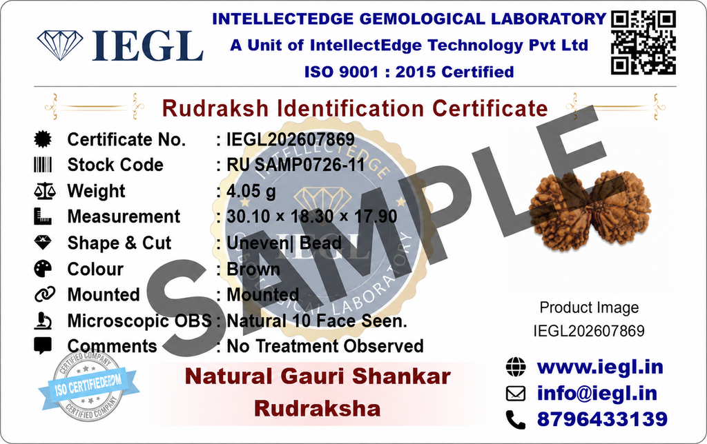 Gauri Shankar Rudraksha