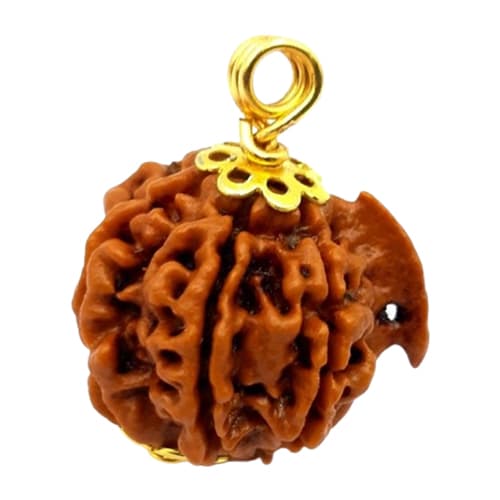 Ganesh Mukhi Rudraksha