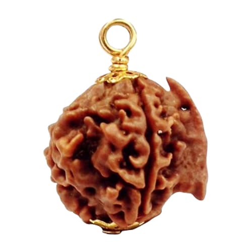 Ganesh Mukhi Rudraksha
