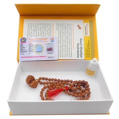 Gauri Shankar Rudraksha - Lab Certified