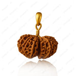 Gauri Shankar Rudraksha - Lab Certified