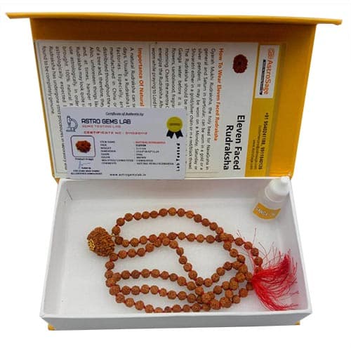 11 Mukhi Original Nepali Rudraksha